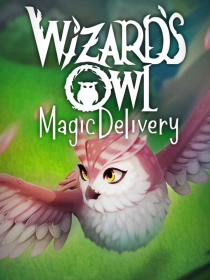Wizards Owl Magic Delivery (5)